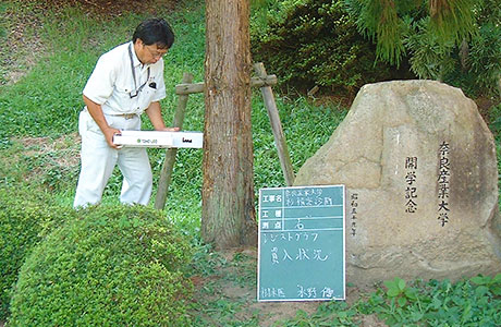 危険木診断
