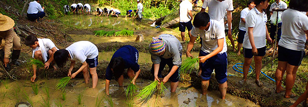 自然再生・里山保全